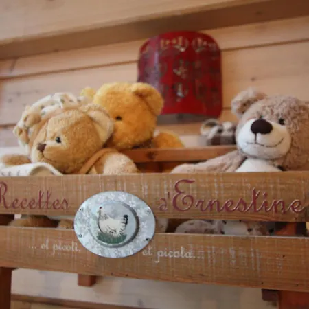 Spacieux Avec Animaux - ? Pers. - Fr-1-589-857 * Gérardmer